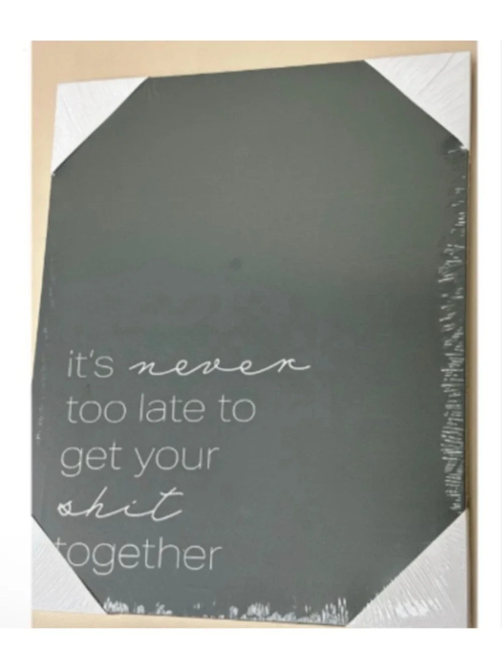 Funny Motivational Canvas Wall Art – “It’s Never Too Late to Get Your Sh*t Toget